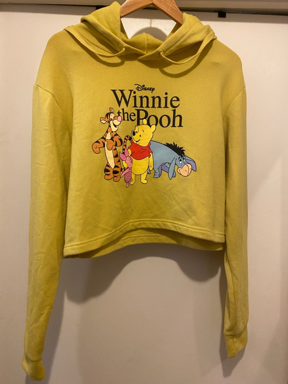 Disney Winnie the Pooh Bright Yellow Character Hoodie